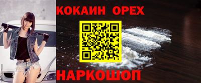 шишки Кимры