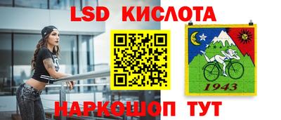 шишки Кимры