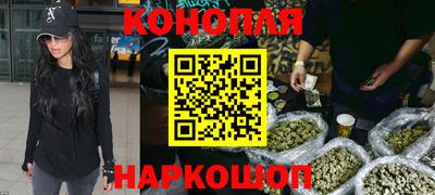 шишки Кимры