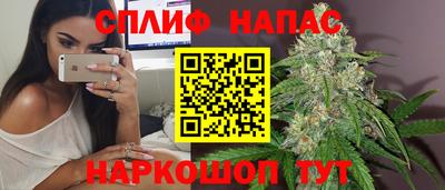 шишки Кимры