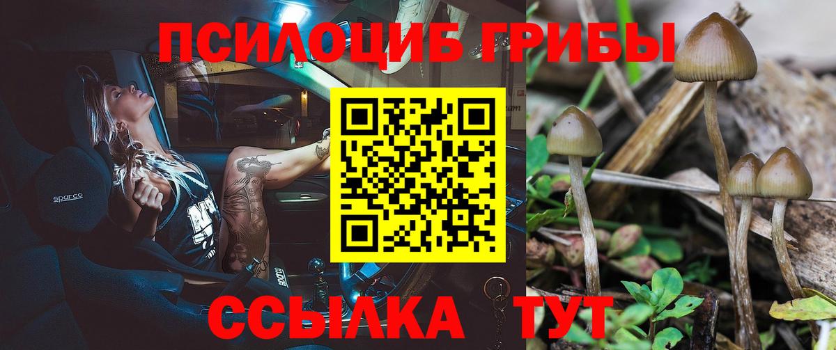 Галлюциногенные грибы Psilocybe  где купить наркоту  Радужный  Вход с VPN  Галлюциногенные грибы мухоморы 